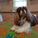 rsz_1whatsapp_image_2023-10-15_at_192319